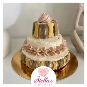 Extra-large-cake---stellaspupcakes---dog-pet-food-snack-accessories