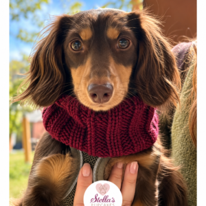 Snoods
