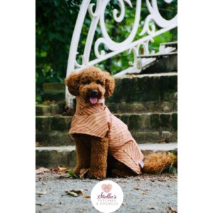 Autumn crush