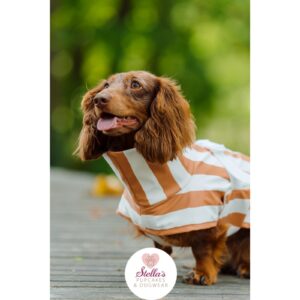 Pups & stripes